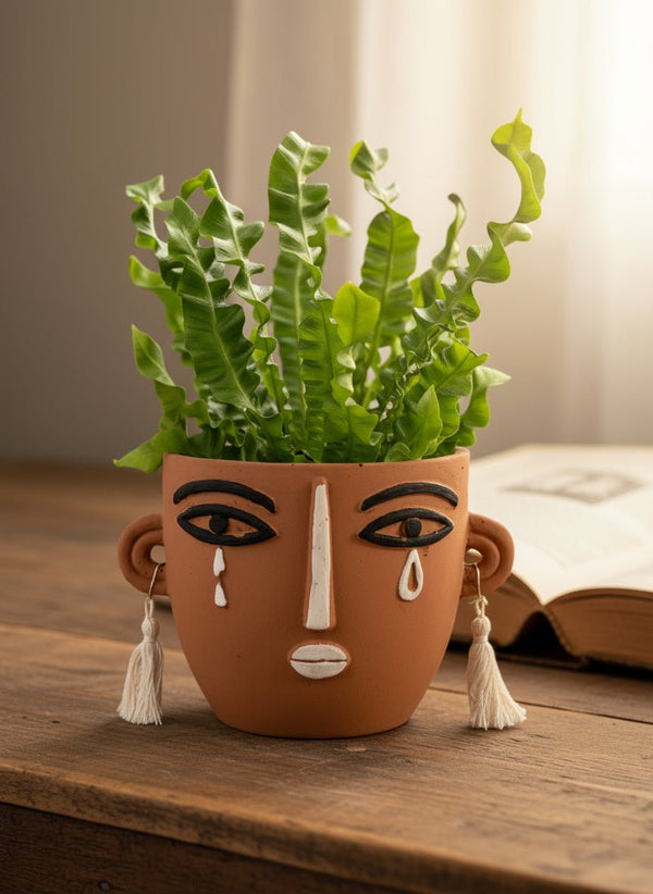 Wavy Bird Nest Fern - Potted plant - POTT-WAVY-GRW-6645 - Tumbleweed Plants - Online Plant Delivery Singapore