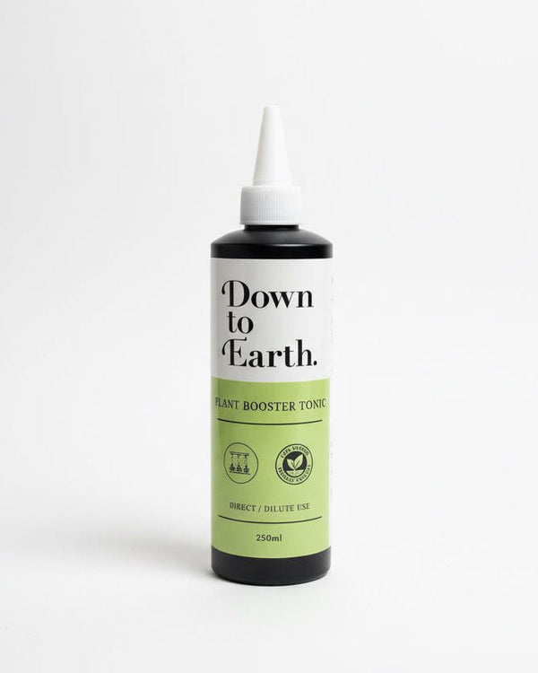 Down To Earth. Light Booster Tonic – Indoor Growth Support - Plant Care - PLAN-DOWN-7943 - Tumbleweed Plants - Online Plant Delivery Singapore