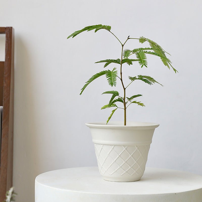 Ice Cream Cone Planter - Planter - 5815663443248 - Tumbleweed Plants - Online Plant Delivery Singapore