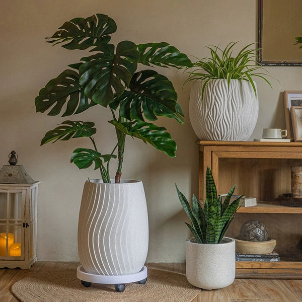XL Wave Pot - Planter - 5966976559944 - Tumbleweed Plants - Online Plant Delivery Singapore
