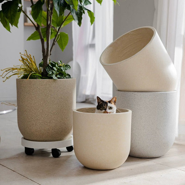 Sand Mist Pot - XXL - Pots - 5538873752818 - Tumbleweed Plants - Online Plant Delivery Singapore