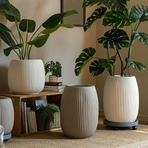 Reed Planter - Planter - 5975162095779 - Tumbleweed Plants - Online Plant Delivery Singapore