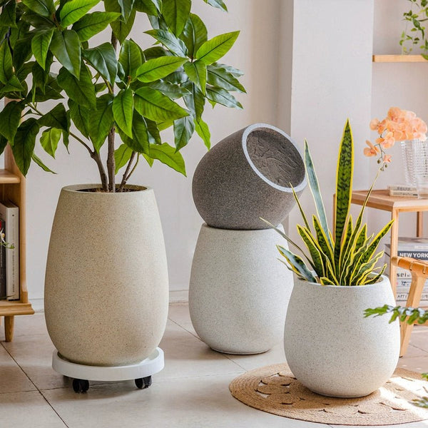 Halo Oval Pot - XL - Pots - POTS-HALO-SHRCSM-12243 - Tumbleweed Plants - Online Plant Delivery Singapore