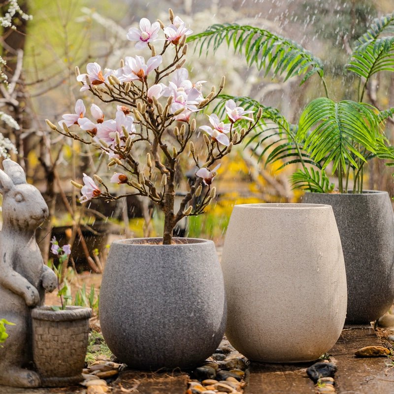 Halo Oval Pot - XL - Pots - POTS-HALO-SHRCSM-12243 - Tumbleweed Plants - Online Plant Delivery Singapore