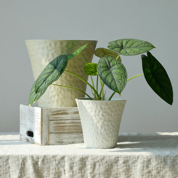 Luna Straight Cloudstone Planter - L - Planter - 6135032434699 - Tumbleweed Plants - Online Plant Delivery Singapore