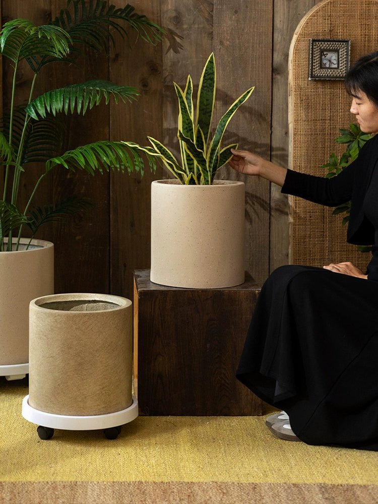Stone Hue Pot - XL - Pots - 5812103525311 - Tumbleweed Plants - Online Plant Delivery Singapore
