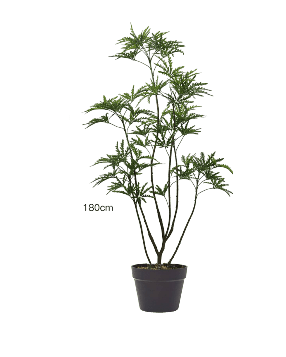 Peacock Plant (Life-like Artificial)