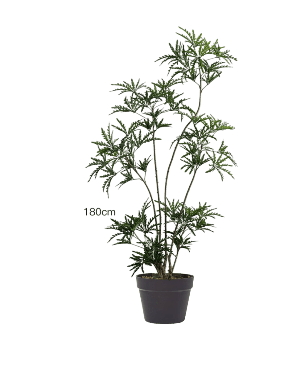 Peacock Plant (Life-like Artificial)