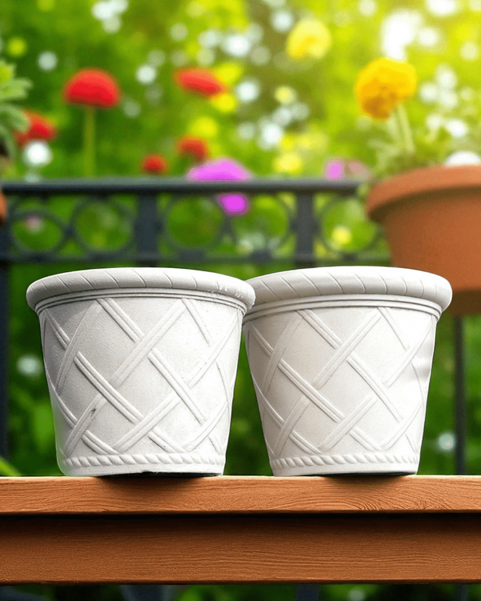 Roman Lattice Pot - XL - Planter - 5459844634548 - Tumbleweed Plants - Online Plant Delivery Singapore