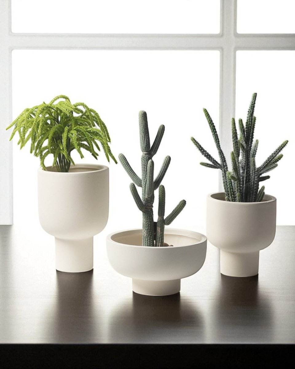 Cloud Planters - Planter - 5780271428370 - Tumbleweed Plants - Online Plant Delivery Singapore