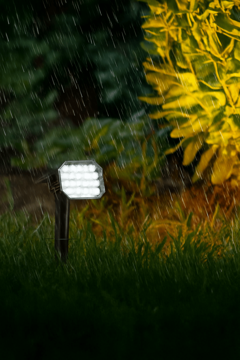 EcoSpot Garden Spike Lights - Garden Lights - 5843612166563 - Tumbleweed Plants - Online Plant Delivery Singapore