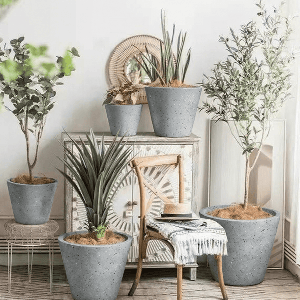 Cone Planter - XL - Planter - PLAN-CONE-CMCLP-9807 - Tumbleweed Plants - Online Plant Delivery Singapore