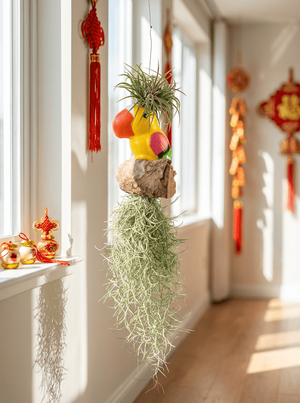 Air Plant - Tillandsia Bird (Hanging) - Plant Arrangement - GIFT-AIRP-4676 - Tumbleweed Plants - Online Plant Delivery Singapore