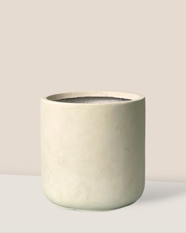 Elysia XL - Pots - POT-LARG-5968 - Tumbleweed Plants - Online Plant Delivery Singapore