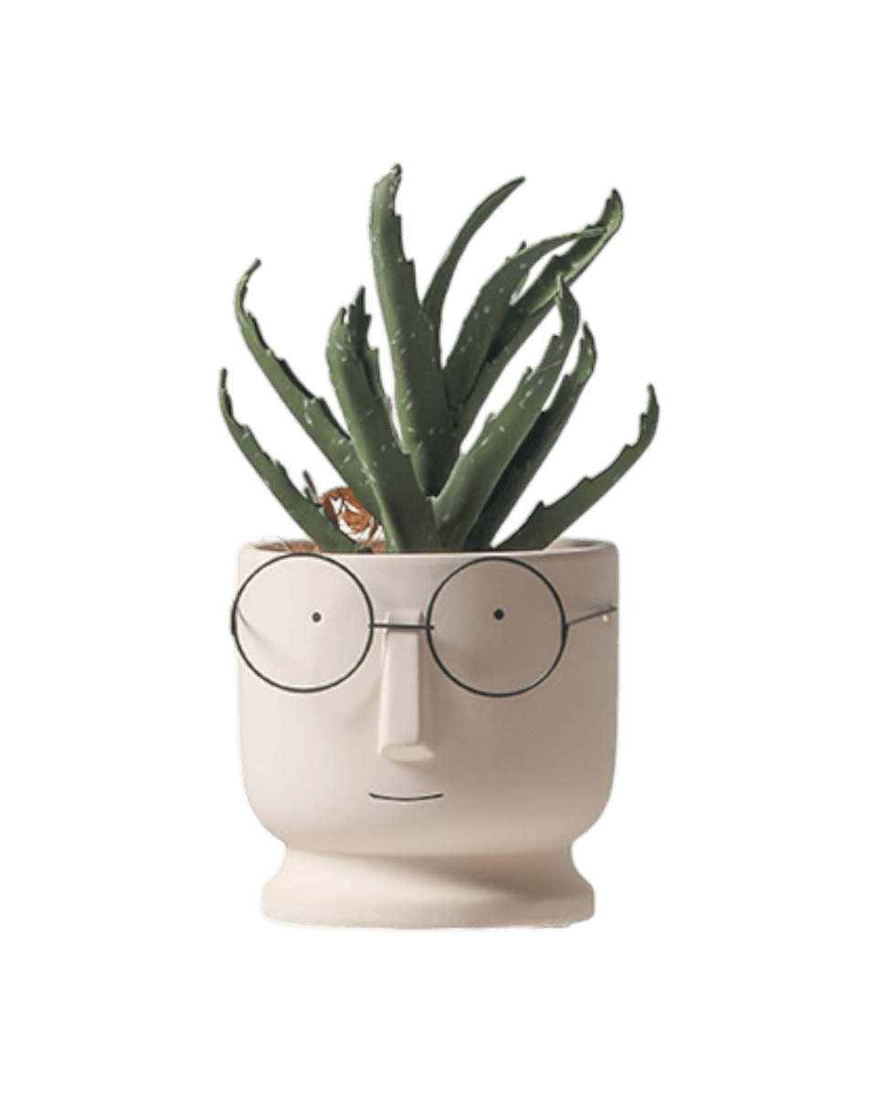 Mister Planter - Medium - Planter - 4853615088149 - Tumbleweed Plants - Online Plant Delivery Singapore