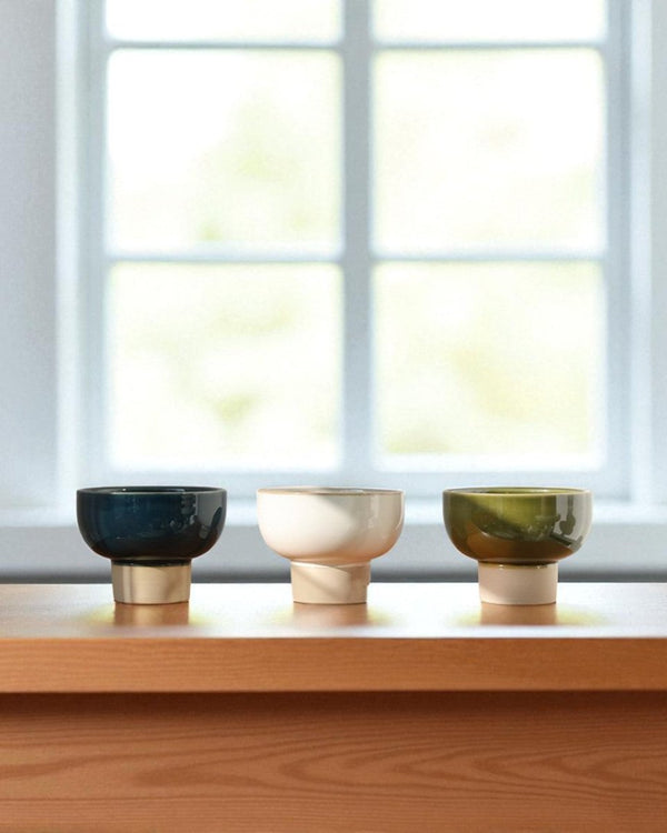 Two - Tone Bowl Pot - Planter - 5366447371355 - Tumbleweed Plants - Online Plant Delivery Singapore