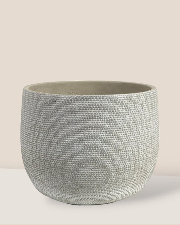 Bauble Planter - Pearl White - Pot - Tumbleweed Plants - Online Plant Delivery Singapore