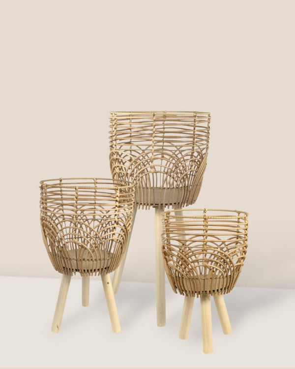 Coachella Basket with Stand - Small - Stand - Tumbleweed Plants - Online Plant Delivery Singapore