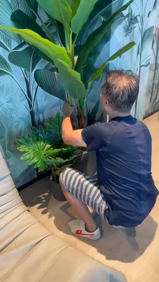 Placing the plants