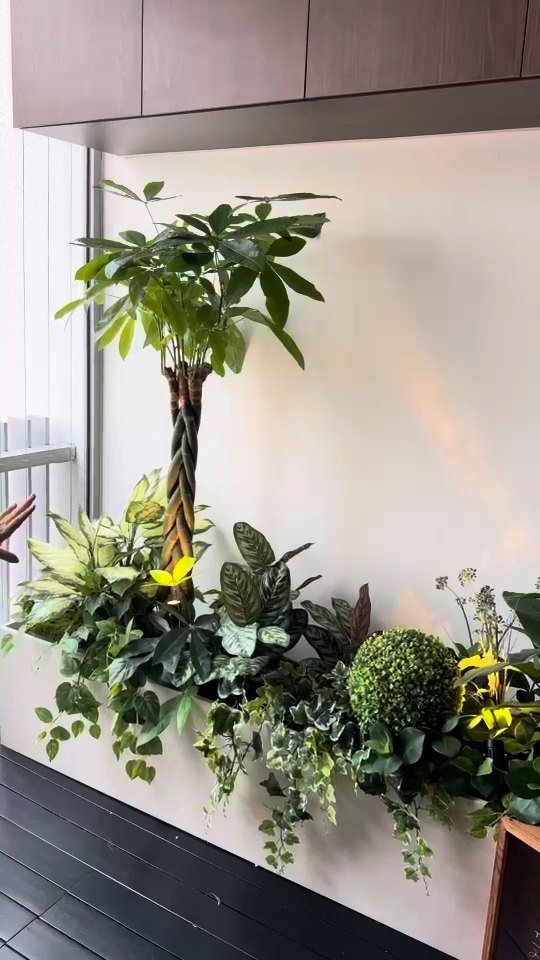 A planter bed with a braided money tree