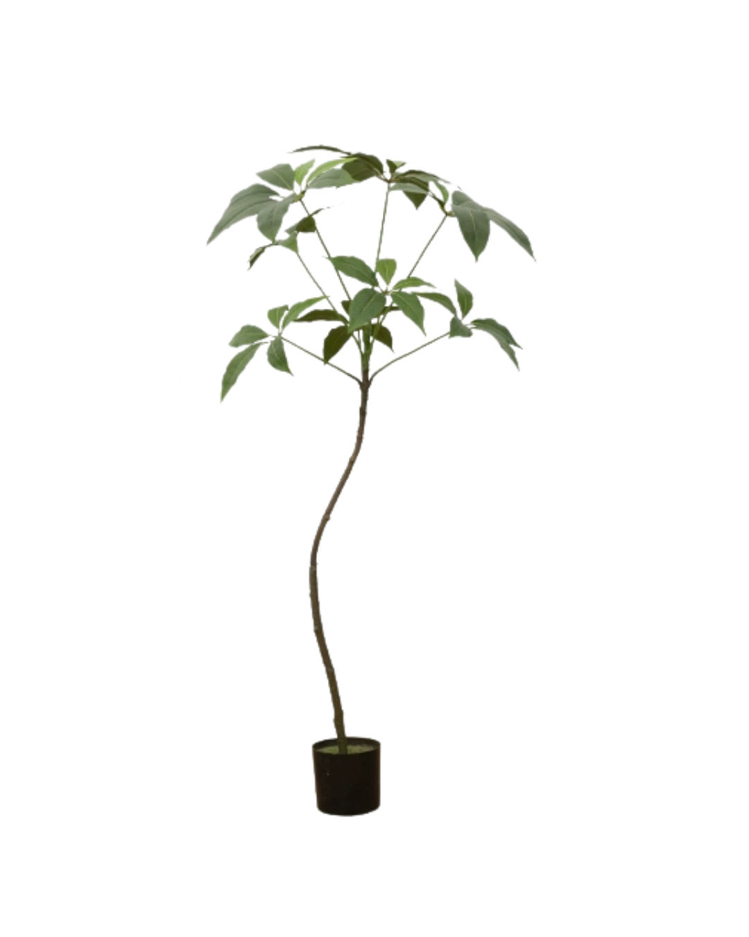 120cm