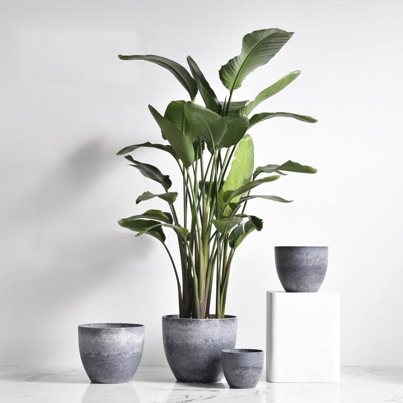 AirStone Egg Pots - Medium - Pots -  Tumbleweed Plants