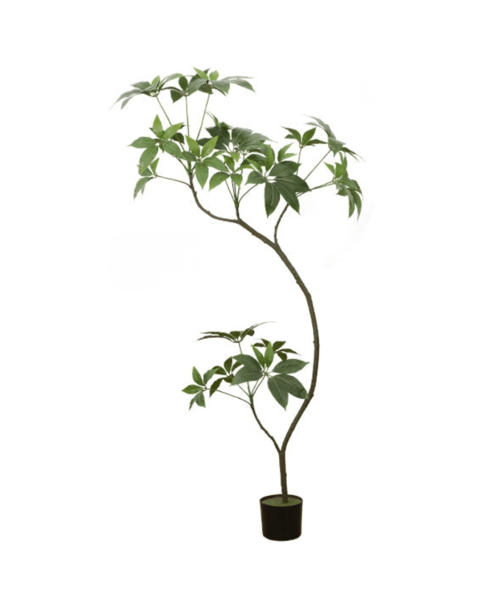 Umbrella Plant (Life-like Artificial)