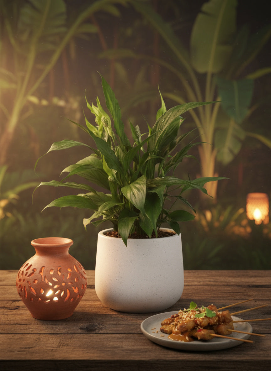Peace Lily Junior