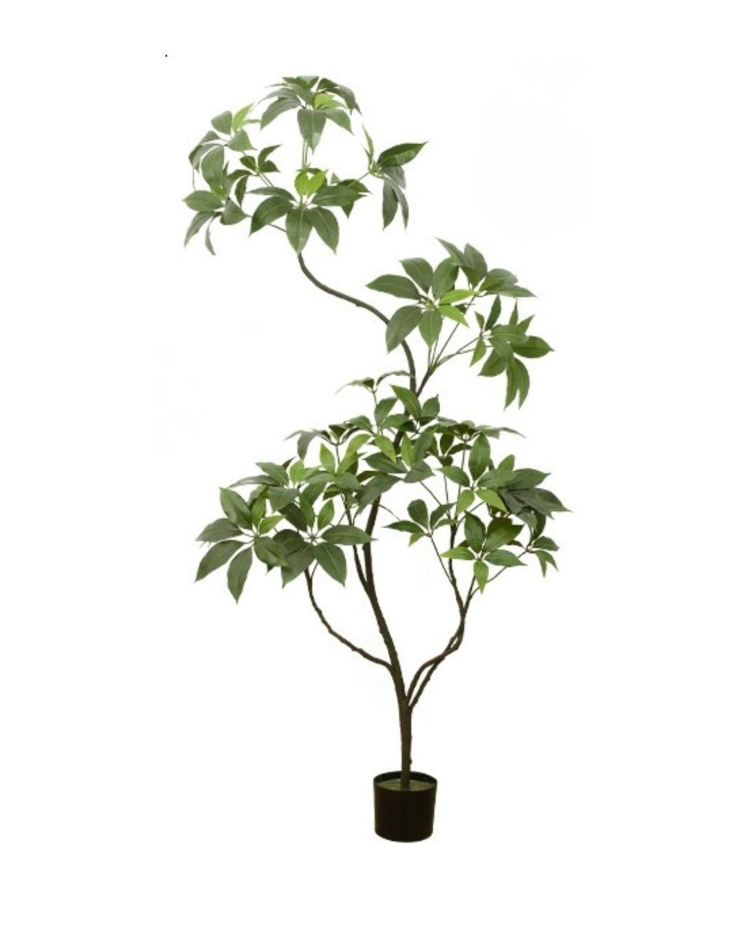 Umbrella Plant (Life-like Artificial)