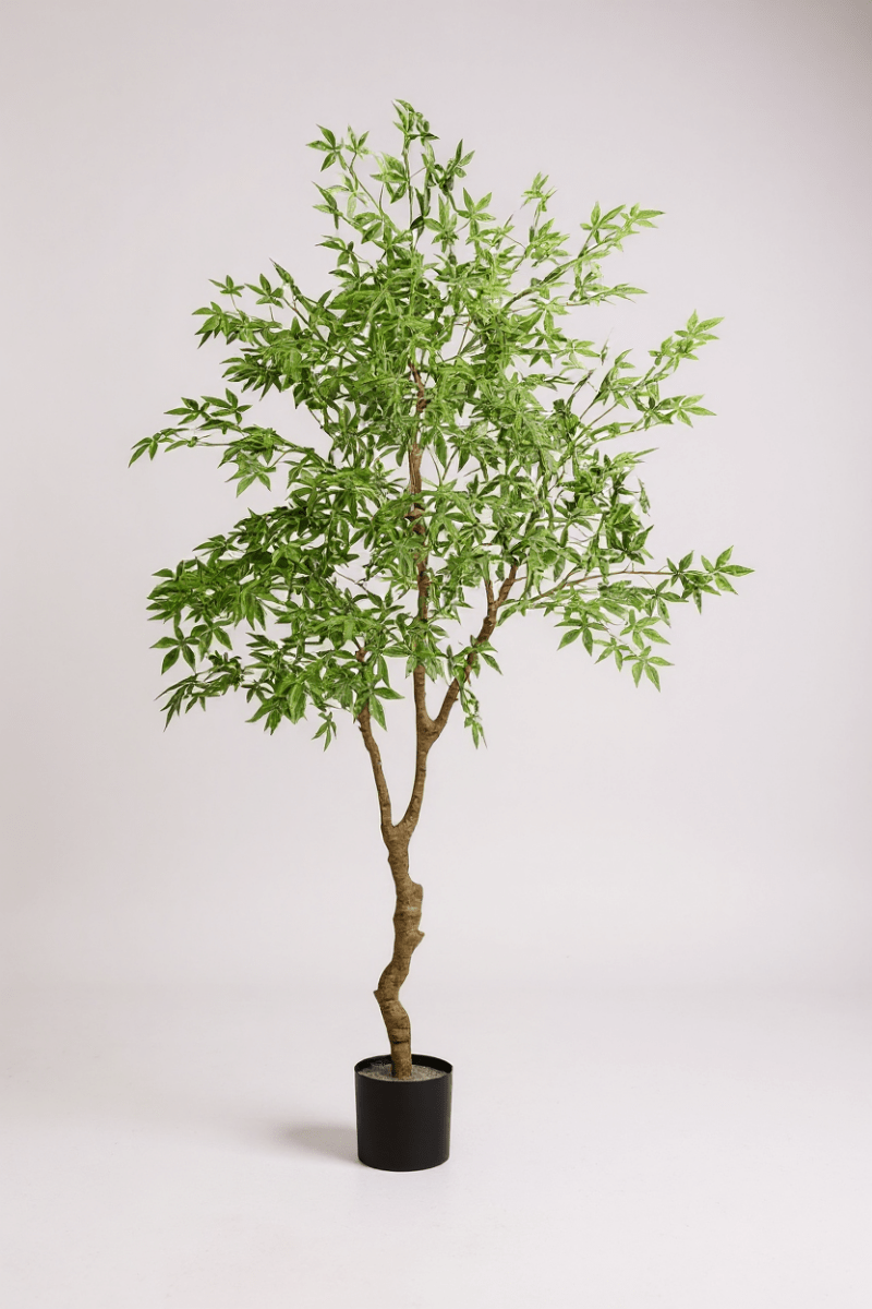 Grow Pot