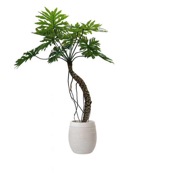 Tumbleweed Plants