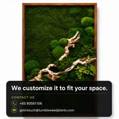 Frame Greens - MOSS.