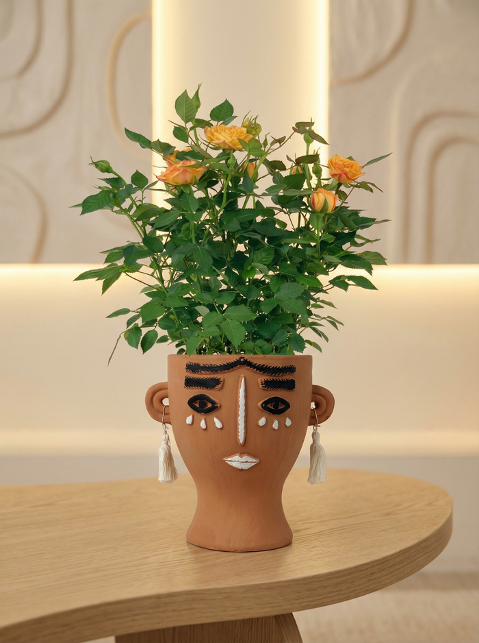 Potted Rose Baby