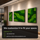 Moss Frame 2 - Customizable