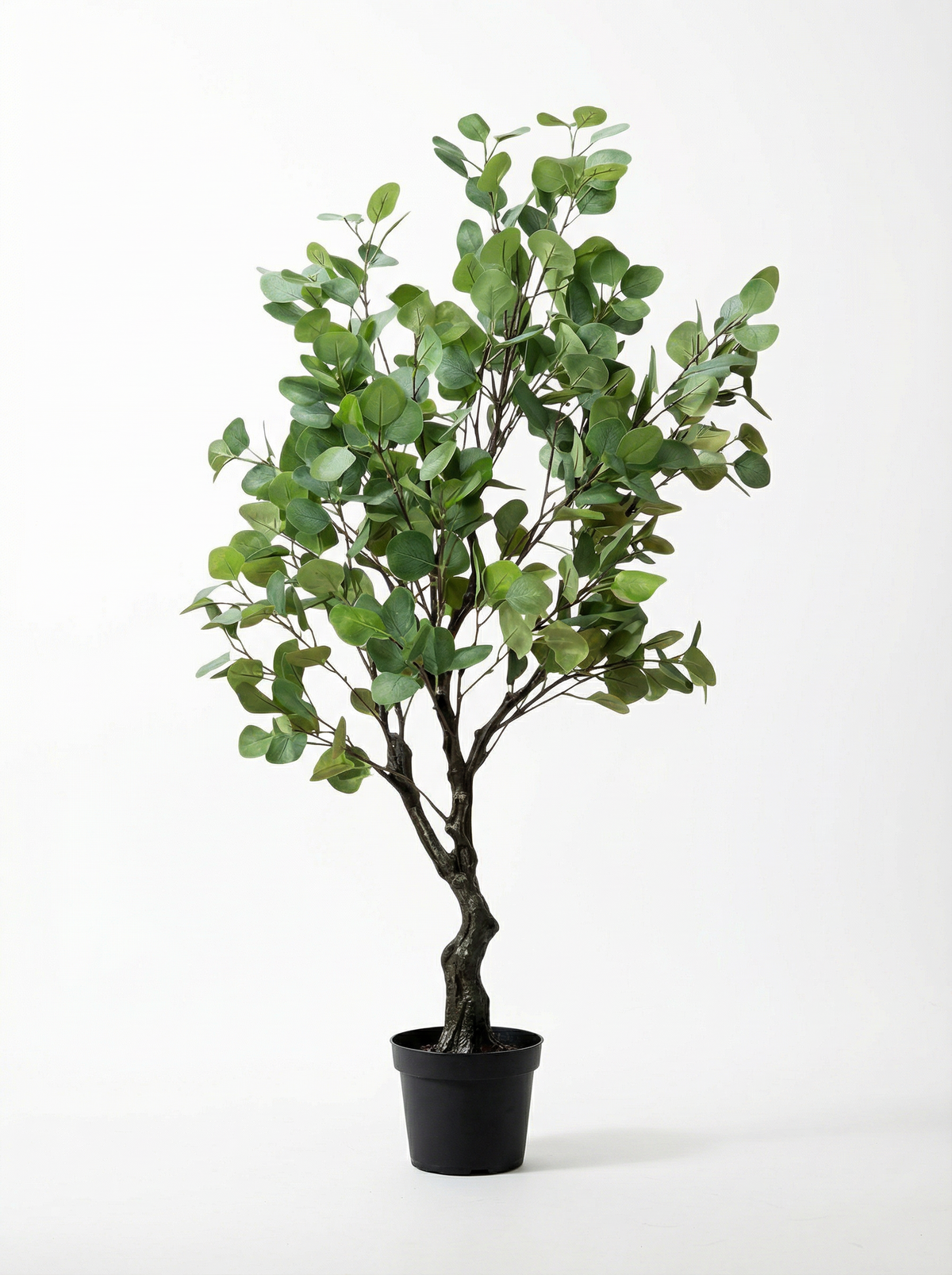 Eucalyptus (Life-like Artificial)