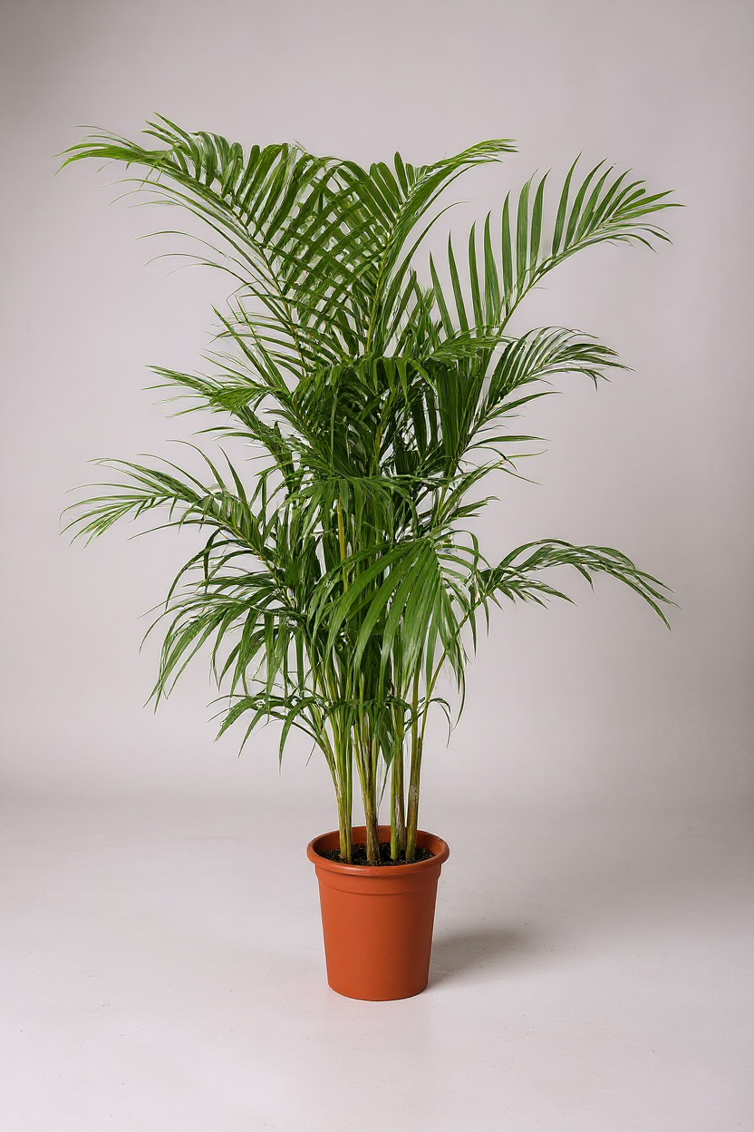 Grow Pot