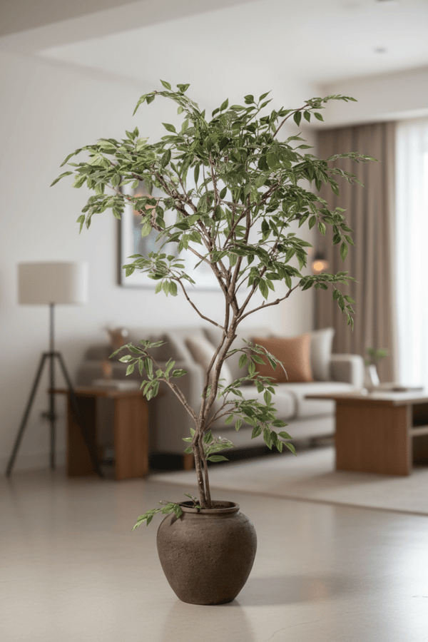 Tumbleweed Plants