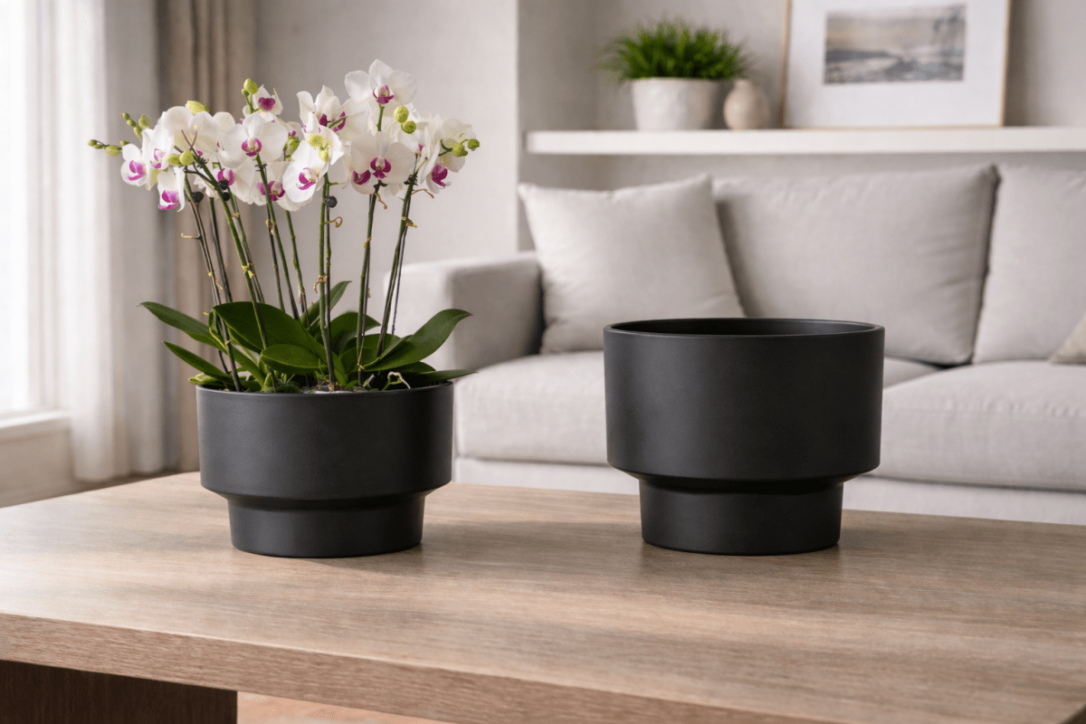 Vela Rise Pot - Large - Planter - 5727135925408 - Tumbleweed Plants - Online Plant Delivery Singapore