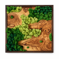 EARTH Frame - Preserved Plants: MOSS.