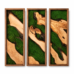 EARTH Frame - Preserved Plants: MOSS.