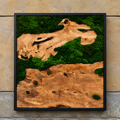 EARTH Frame - Preserved Plants: MOSS.