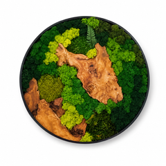 Orb Green - Preserved Plants: MOSS.