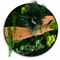 Orb Green - Preserved Plants: MOSS.