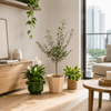 The Instagram Set - Plant Bundle - PROD-THEI-7077 - Tumbleweed Plants - Online Plant Delivery Singapore
