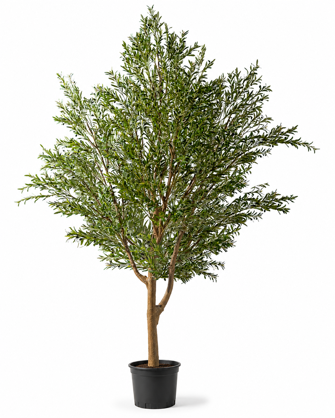 Grow Pot