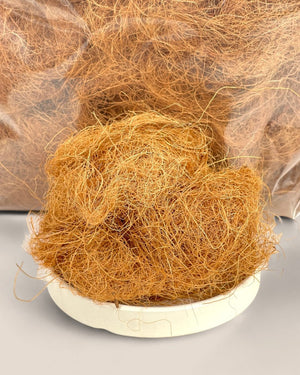 Tumbleweed Plants