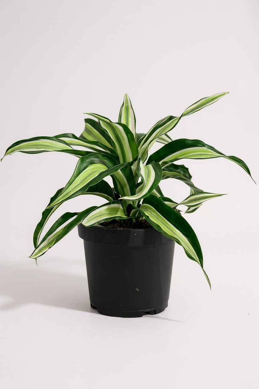 Grow Pot