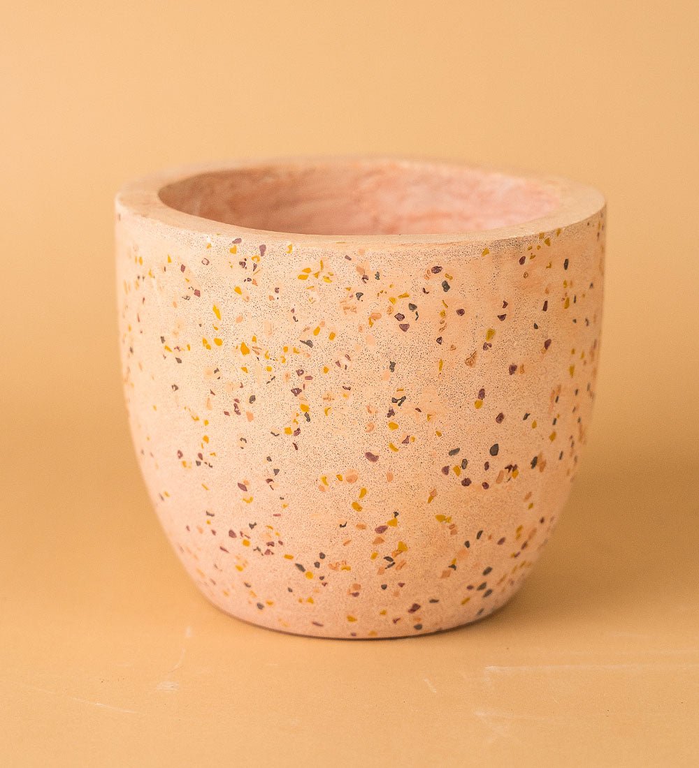 Egg Pots - Medium