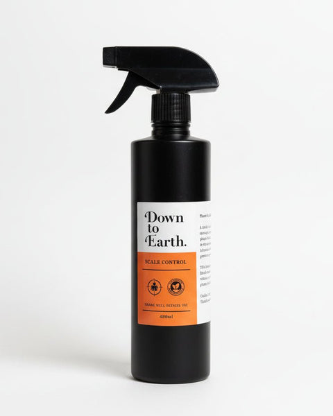 Down To Earth. Scale Control