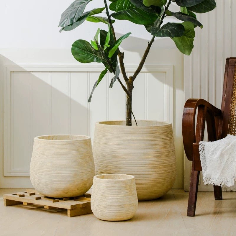XL Stripes Tulip Pot - Pots - 5751704377741 - Tumbleweed Plants - Online Plant Delivery Singapore